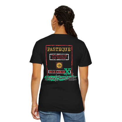 Stumbling is not falling. T-Shirt