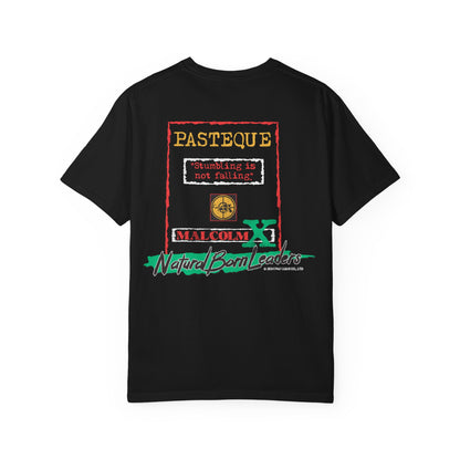 Stumbling is not falling. T-Shirt